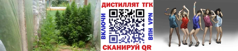 нарко площадка как зайти Партизанск Дистиллят ТГК вейп с тгк где купить наркотик ссылка на мегу tor
