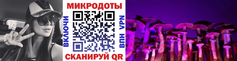 Псилоцибиновые грибы мухоморы магазин продажи Партизанск