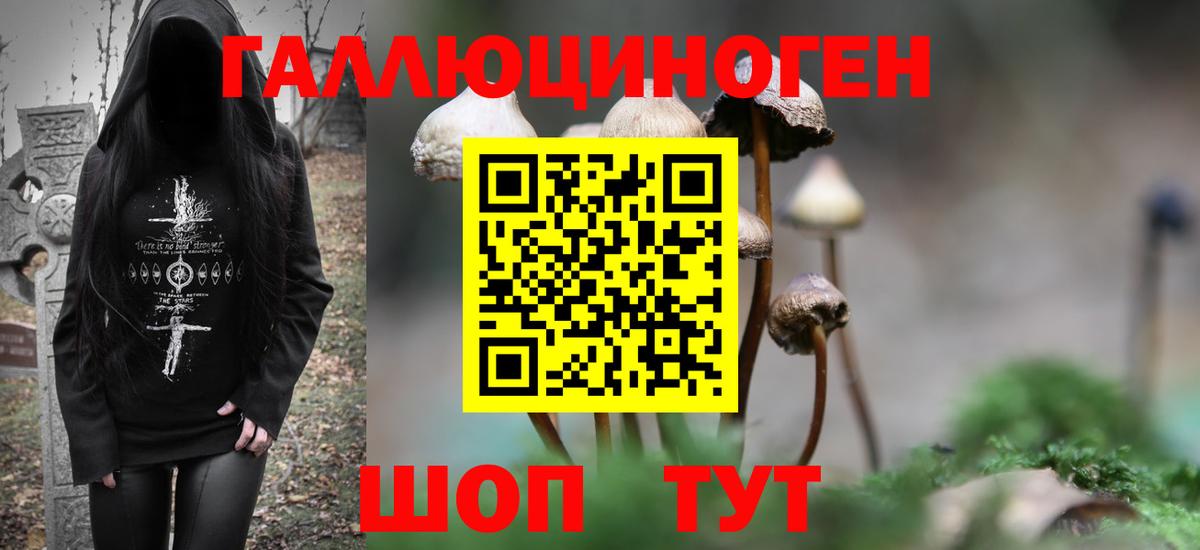 Партизанск  Псилоцибиновые грибы Magic Shrooms  Вход с VPN 